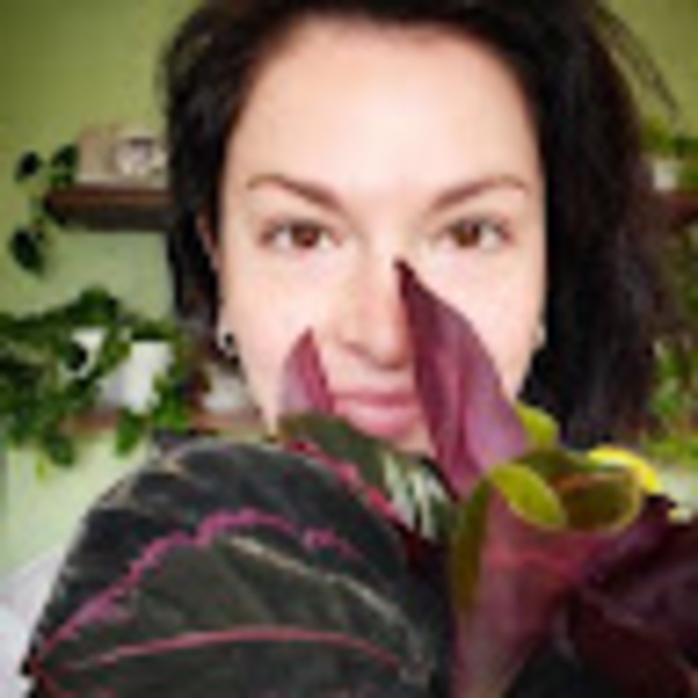 Meet your Posher, Marcia